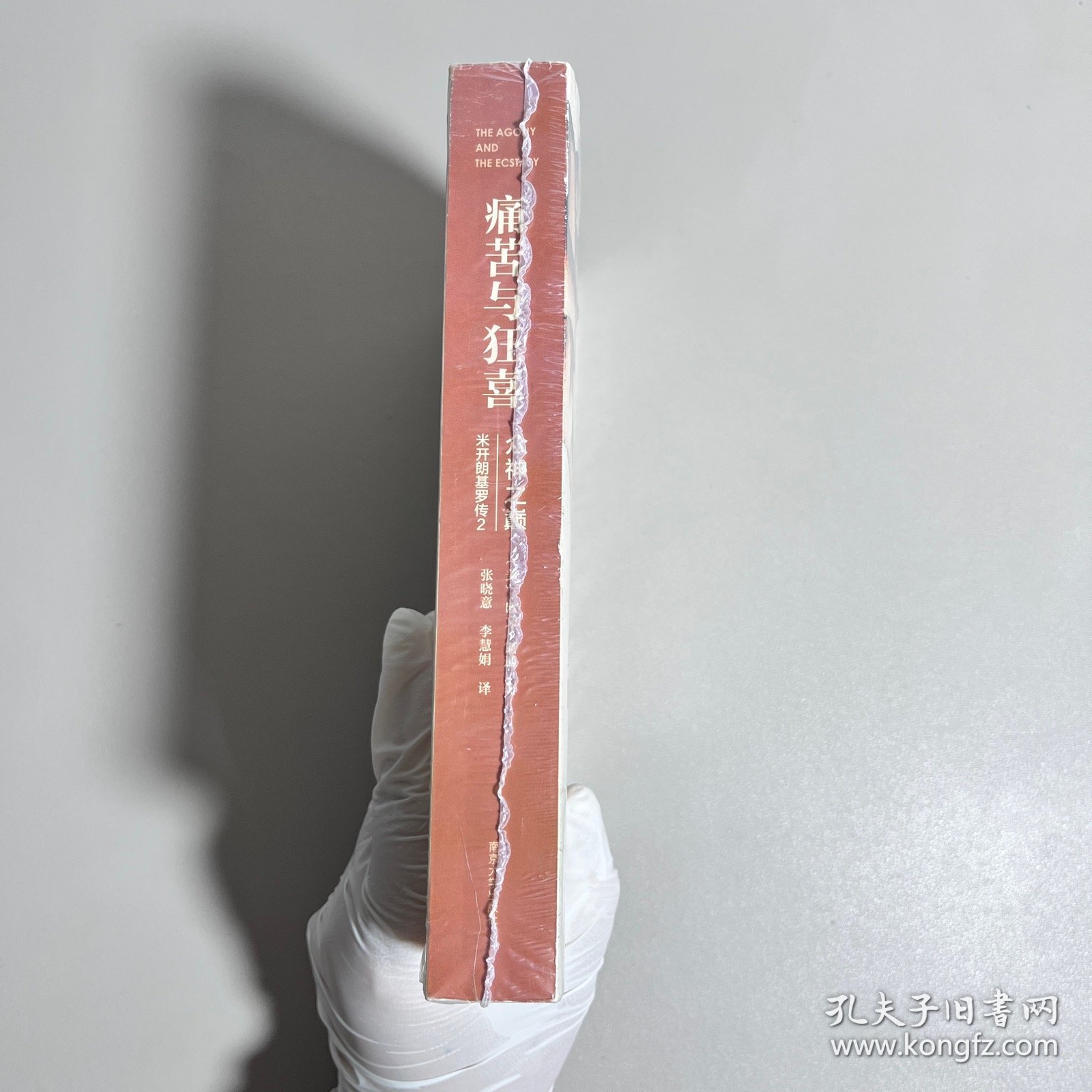 点击查看原图 痛苦与狂喜:众神之巅:米开朗基罗传2