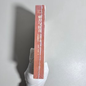 痛苦与狂喜:众神之巅:米开朗基罗传2