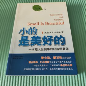 小的是美好的：一本把人当回事的经济学著作