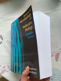 现货 Dictionary of Microbiology and Molecular Biology    英文原版  微生物学与分子生物学词典 辛格尔顿 赛恩斯伯里