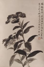 【538@】 鸡冠花图，纸本立轴，，画心尺寸45✘28。陶冷月。