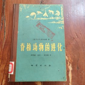 脊椎动物的进化