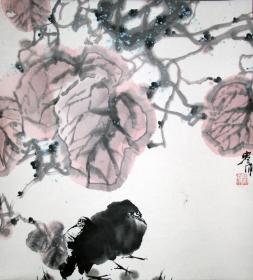 【238福利包邮专场】寒雨 花鸟画 画芯 43×48 原裱立轴