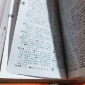 古代汉语词典(第2版)