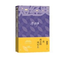 茅盾文学奖获奖作家短经典：在西线的列车上