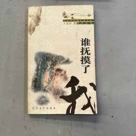 谁抚摸了我