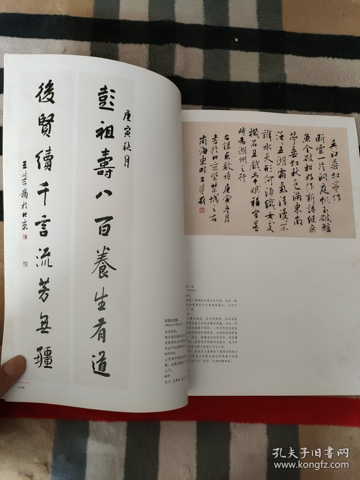 2010当代中青年书法家创作档案：王学岭