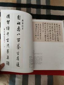 2010当代中青年书法家创作档案：王学岭