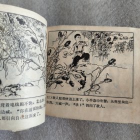 铁娃和小白鸽'（连环画）