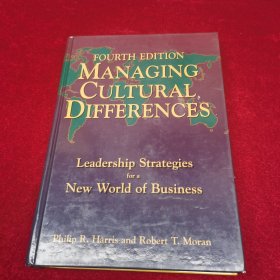 MANAGING CULTURAL DIFFERENCES