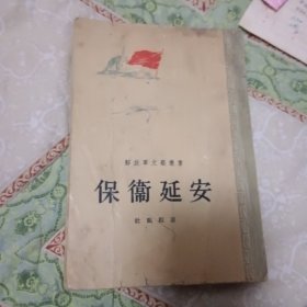 保卫廷安