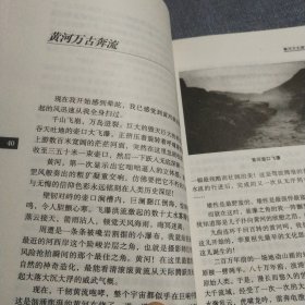 泊旅
