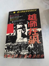 雄狮狂飙（第三野战军征战纪实）