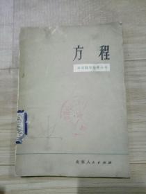 中学教学参考丛书——方程