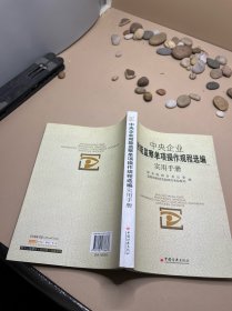 中央企业效能监察单项操作规程选编实用手册