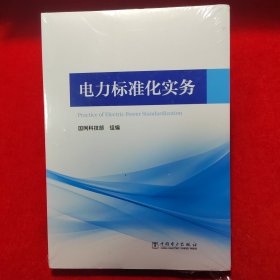 电力标准化实务