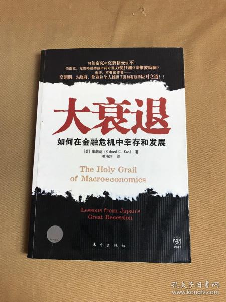 大衰退：如何在金融风暴中幸存和发展