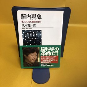 日文 脳内现象