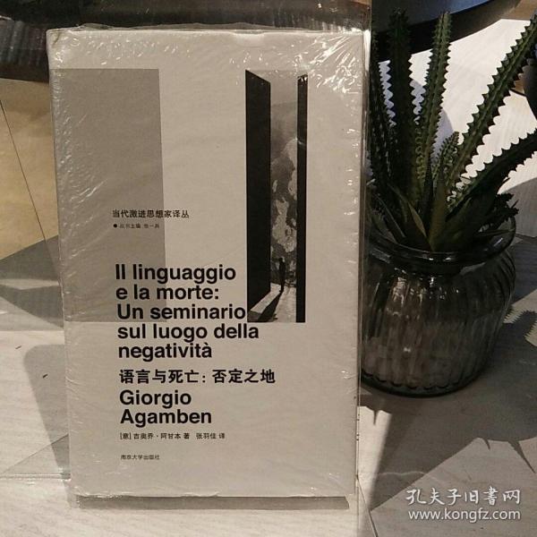 语言与死亡/当代激进思想家译丛