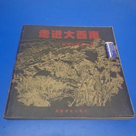 走进大西南:西南风情写生集