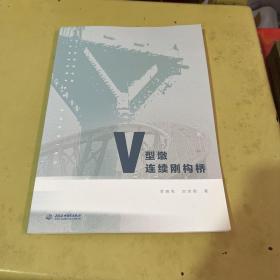 V型墩连续刚构桥