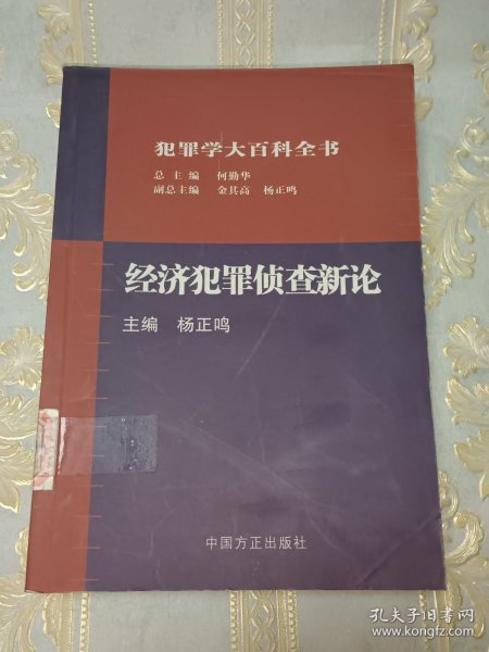 经济犯罪侦查新论