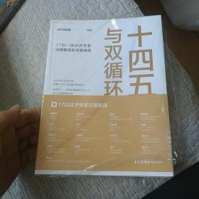 十四五与双循环:17位一线经济学家深度解读新发展格局（国内大循环国内国际双循环）