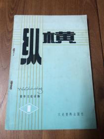 创刊号：纵横