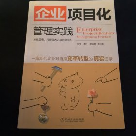 企业项目化管理实践