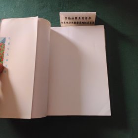 儿童与儿童发展第2版上册