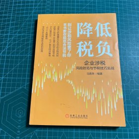 降低税负：企业涉税风险防范与节税技巧实战