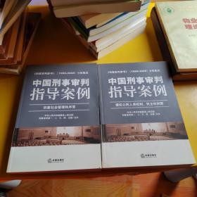 中国中国刑事审判指导案例：侵犯公民人身权利民主权利罪+妨害社会管理秩序罪.2册合售