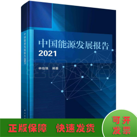 中国能源发展报告2021