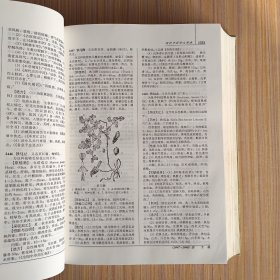 现代中药学大辞典（下册）