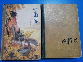 山菊花（山东精装版）