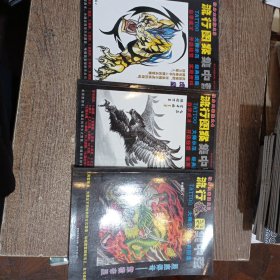 纹身大家族之3-5 流行龙图集中营 三本合售