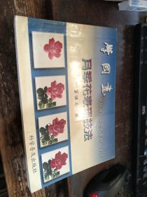 月季花表现技法