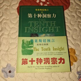 塞莱斯廷预言Ⅱ第十种洞察力