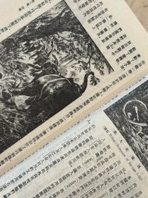 世界人种志 文化人类学（民国丛书 第二编 13 精装 全一册）