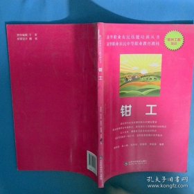 新型职业农民技能培训丛书 钳工