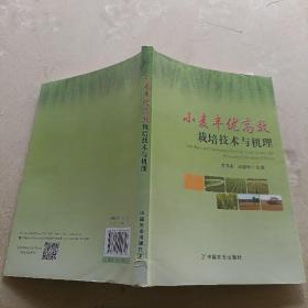 小麦丰优高效栽培技术与机理