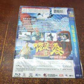 玩酷青春 DVD（1碟装）