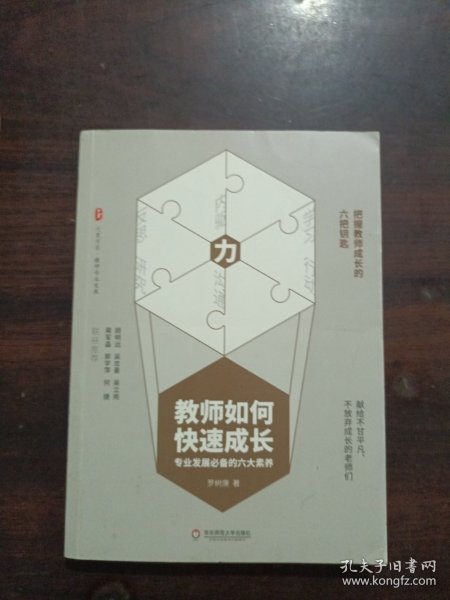 教师如何快速成长：专业发展必备的六大素养 大夏书系