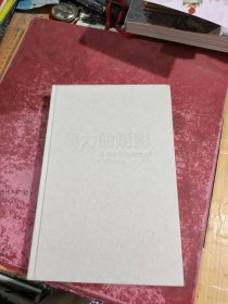 暴力的阴影：政治、经济与发展问题