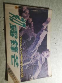 初露锋芒    有钉针锈痕  扉页封底有私藏章或名字