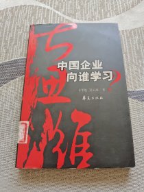 大思维：中国企业向谁学习