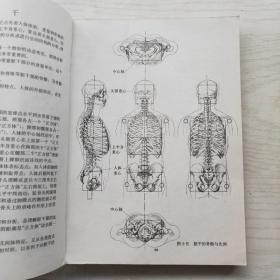 艺用人体结构运动学