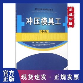 冲压模具工：中级