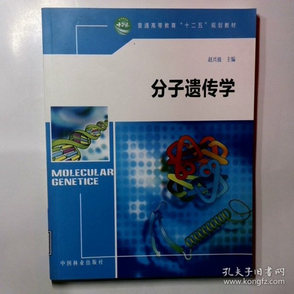 普通高等教育“十二五”规划教材：分子遗传学