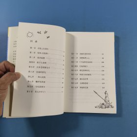 麦克米伦 世纪大奖小说典藏本